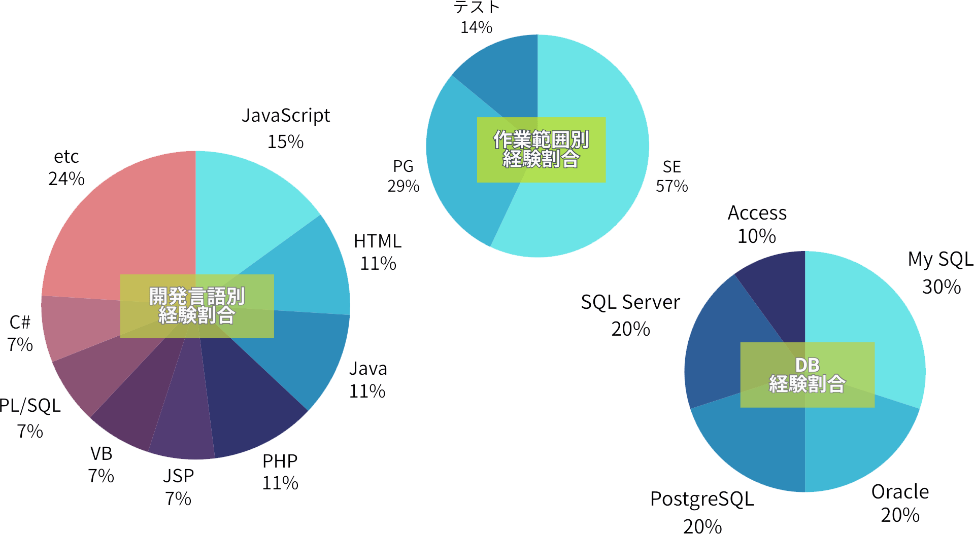 開発言語別経験割合、作業範囲別経験割合、DB経験割合